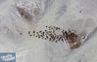 Editions Tana - Beau livre - Eaux Douces (histoires extraordinaires dans nos fleuves, nos rivières et nos lacs)