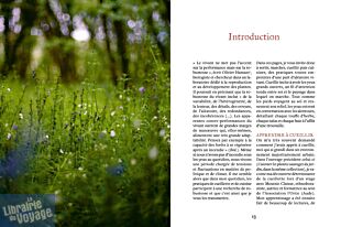 Editions Ulmer - Guide - Cuisiner les plantes sauvages des chemins