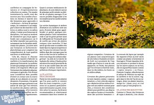 Editions Ulmer - Guide - Cuisiner les plantes sauvages des chemins