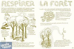 Editions Ulmer - Guide - Vivre la forêt (renouer avec le vivant)