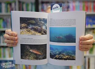 Editions Zeraq - Guide - Découverte du milieu marin - Randonnée subaquatique et plongée libre, un manuel pour tous (Philippe Carillo)