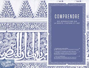 Hachette - Guide Bleu - Andalousie
