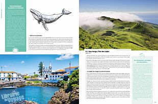 Hachette (Le Guide du Routard) - Beau livre - Les 50 voyages à faire dans sa vie en Europe