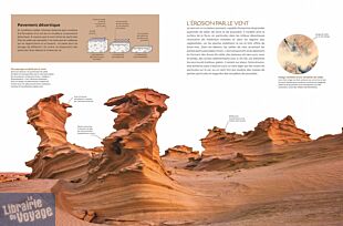 Editions Glénat - Beau livre - Le grand guide des arbres et forêts