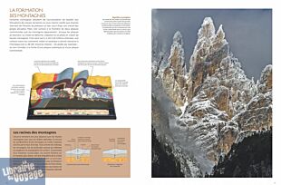 Editions Glénat - Beau livre - Le grand guide des arbres et forêts