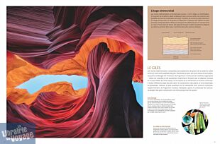 Editions Glénat - Beau livre - Le grand guide des arbres et forêts