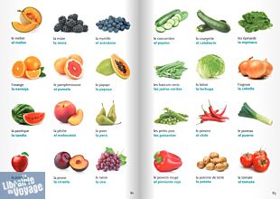 Le Robert & Collins - Dictionnaire visuel - Français-Espagnol