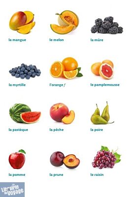 Le Robert & Collins - Dictionnaire visuel - Français