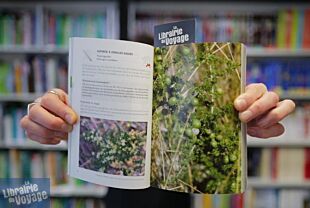 Les Editions Le Passage - Guide - Sauvages de ma rue, guide des plantes sauvages des villes de France