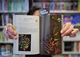 Les Editions Le Passage - Guide - Sauvages de ma rue, guide des plantes sauvages des villes de France
