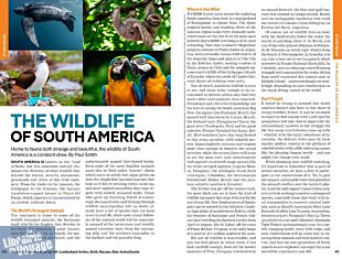 Lonely Planet - Guide (en anglais) - South America (Amérique du sud)