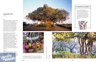 Lonely Planet - Livre - L'Atlas des arbres (un incroyable tour du monde végétal)