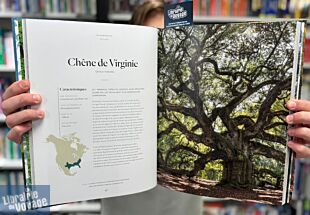 Lonely Planet - Livre - L'Atlas des arbres (un incroyable tour du monde végétal)
