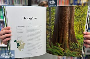Lonely Planet - Livre - L'Atlas des arbres (un incroyable tour du monde végétal)