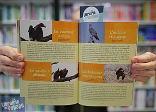 Maxime Lelièvre (Auto-édition) - Guide - Géologie, faune et flore de Namibie