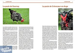 Editions des Falaises - Guide - 100 clés de la Normandie gourmande