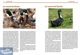 Editions des Falaises - Guide - 100 clés de la Normandie gourmande