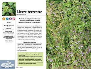 Editions Ouest-France - Guide - Cueillette gourmande - Sous-bois, lisières et prairies