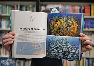 Lonely Planet - Livre - Plongée autour du Monde (les plus beaux spots de plongée de la planète)