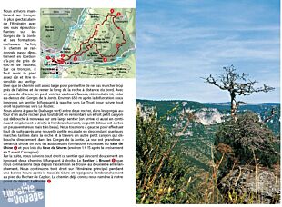 Rother - Guide de Randonnées - Cévennes, Ardèche (avec les Grands Causses, le Massif de l’Aigoual et le Mont Lozère)