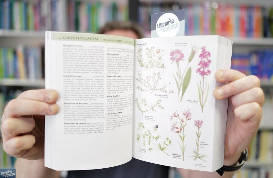 Delachaux et Niestlé Guide Delachaux des fleurs de France et d'Europe 2ème édition Delachaux et Niestlé Guide Delachaux des fleurs de France et d'Europe 2ème édition