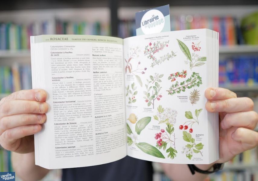 Delachaux et Niestlé Guide Delachaux des fleurs de France et d'Europe 2ème édition Delachaux et Niestlé Guide Delachaux des fleurs de France et d'Europe 2ème édition