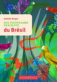 Editions Cosmopole - Guide - Dictionnaire insolite du Brésil