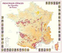 Editions Benoît France - Principaux Cépages des Vignobles de France