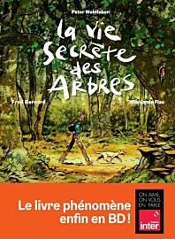 Editions Les Arènes - Bande dessinée - La Vie secrète des arbres (Wohlleben - Bernard - Flao)