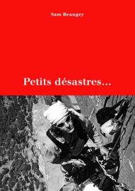 Editions Paulsen-Guérin - Récit - Petits désastres (Sam Beaugey)
