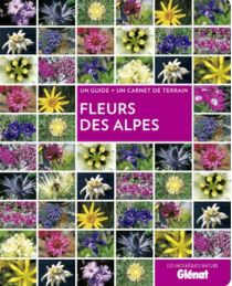 Glénat - Fleurs des Alpes (guide et carnet)