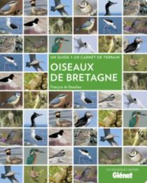 Glénat - Oiseaux de Bretagne