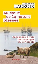 Editions Flammarion - Essai - Au coeur de la nature blessée - Apprendre à voir les paysages du XXIème siècle
