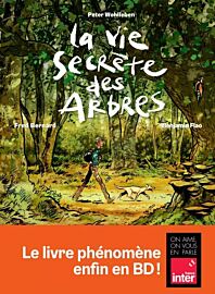 Editions Les Arènes - Bande dessinée - La Vie secrète des arbres (Wohlleben - Bernard - Flao)