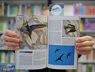 Éditions Sud Ouest - Guide - Guide des oiseaux de nos jardins