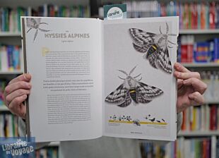 Editions Hoebeke - Guide - Inventaire des petites bêtes des montagnes (François Lasserre)