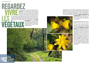 Editions Delachaux et Niestlé - Guide - Fleurs et arbres en bord de chemin