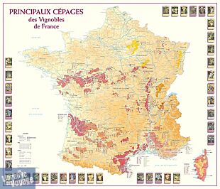 Editions Benoît France - Principaux Cépages des Vignobles de France
