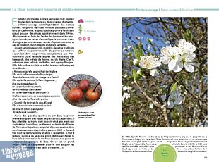 Editions Locus Solus - Guide - Fleurs sauvages au fil des saisons (120 espèces)