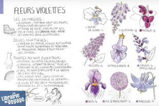 Editions Ulmer - Guide - Mini-flore du jardinier promeneur Mettez un nom sur les plantes qui vous entourent