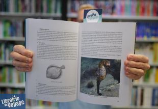 Editions Zeraq - Guide - Découverte du milieu marin - Randonnée subaquatique et plongée libre, un manuel pour tous (Philippe Carillo)