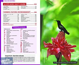Hachette - Le Guide du Routard - Martinique - Edition 2024/2025