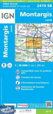 I.G.N - Carte au 1-25.000ème - Série bleue - 2419SB - Montargis - Pannes