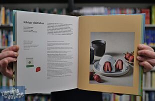 Editions Solar - Beau livre - Japon Vegan