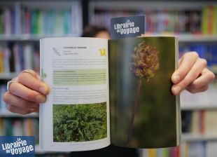 Les Editions Le Passage - Guide - Sauvages de ma rue, guide des plantes sauvages des villes de France