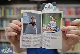 Editions Nathan - Guide - Miniguide Tout Terrain - Oiseaux des villes